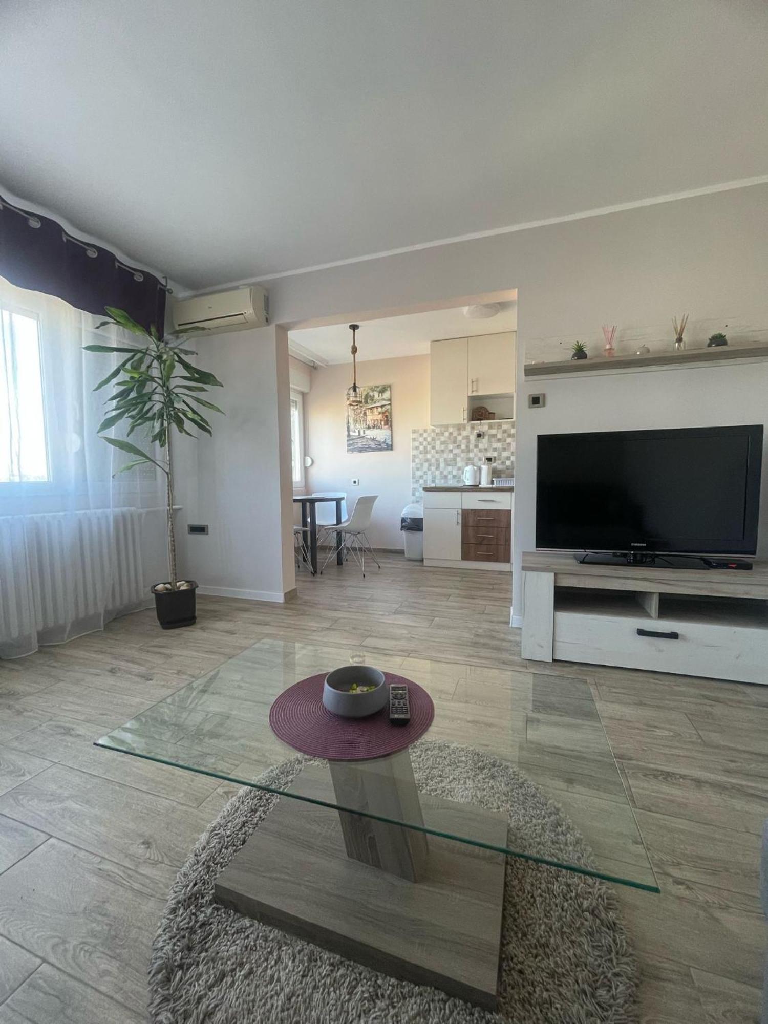 Viewpoint Apartment Belgrade
